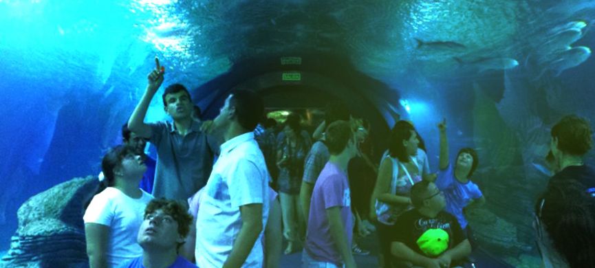 Alumnos del Centro de Educación Especial de Koynos en L'Oceanogràfic de València.