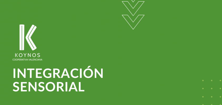 Integración sensorial