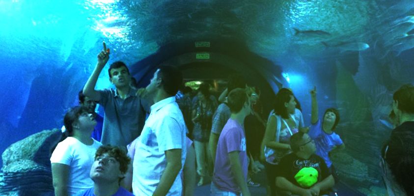 Alumnos del Centro de Educación Especial de Koynos en L'Oceanogràfic de València.